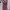 Boneka Barbie Original Mattel (Box Plastik pink) photo 1