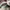 Onitsuka Tiger Tokuten White Burgundy Grey Brown photo 6