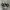 Converse Chuck Taylor All Star 70S High Black White photo 1