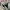 Converse Chuck Taylor All Star 70S High Black White photo 6