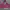 Phat Farm Streetwear Y2K Hoody Pria burgundy photo 2