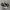 Converse Chuck Taylor All Star 70S High Black White photo 1