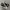 Converse Chuck Taylor All Star 70S High Black White photo 1