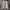 Jacket Covernat Puffer Revesible Black photo 5