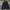 Jacket Covernat Puffer Revesible Black photo 3