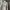 Jacket Covernat Puffer Revesible Black photo 6