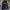 Jacket Covernat Puffer Revesible Black photo 1
