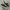 Converse One Star OX Suede Black White photo 1