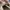 Newbalance 1906 R Cordura Pack Desert photo 7
