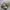 Newbalance 1906 R Cordura Pack Desert photo 1