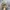 Newbalance 1906 R Cordura Pack Desert photo 2