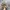 Newbalance 1906 R Cordura Pack Desert