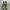 Newbalance 1906 R Cordura Pack Desert photo 3