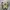 Newbalance 1906 R Cordura Pack Desert photo 4