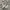 New Balance Fuelcell V3 White Black photo 3
