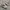 New Balance Fuelcell V3 White Black photo 1