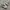 New Balance Fuelcell V3 White Black