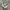 New Balance Fuelcell V3 White Black photo 2