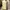 yellow y2k vintage prom dress tier ruffle photo 4