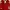 Tracktop Adidas Bayern Munchen photo 5