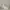 Streetwear Indie Boots Wanita multicolor white photo 1