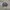 CREWNECK ECKO FUNCTION NOT FUBU ROCAWEAR JOKER DOG TOWN  photo 1