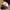Empyre Rose Embroidered Navy White Cap photo 1