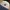Empyre Rose Embroidered Navy White Cap photo 2