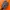 Jordan low travis scott
 photo 5