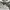 Based Club Casual Hoody Pria gray photo 3