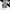 Carhattt Pants Cargo Moss photo 1