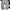 Carhattt Pants Cargo Moss photo 3