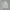 Michel klein broken white fitted blouse shirt photo 1