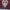 MLS JERSEY COLORADO RAPIDS  photo 3