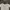 cream lace trim long sleeve fitted top ~ coquette photo 3