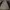 Reebook photo 8