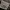 Reebook photo 6