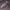 Reebook photo 7