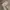 Reebook photo 5