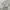 A Bathing Ape Casual Hoody Pria gray photo 4