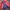 Burberry Luxury Blazer Pria red photo 2