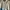 Jacket Cagoule One Layer Running Millet photo 2
