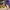AIR JORDAN 1 MID LAKERS UNIVERSITY GOLD RETRO photo 3