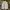 Jacket Parka Vanquish Japan White photo 1