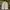 Jacket Parka Vanquish Japan White