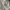 Jacket Running One Layer Fubu White photo 4