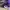 AIR JORDAN 1 RETRO HIGH OG COURT PURPLE  photo 1
