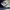 AIR JORDAN 1 RETRO HIGH OG OBSIDIAN UNC photo 7