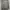 Coat leopard mewah, blazer trench coat jacket macan photo 1