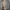 Coat leopard mewah, blazer trench coat jacket macan photo 2